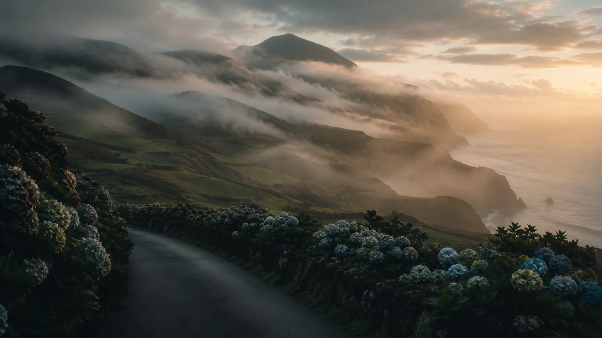 A hydrangea-lined road winding along the Azorean coast in the mist